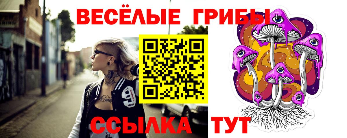 Псилоцибиновые грибы Cubensis Звенигород