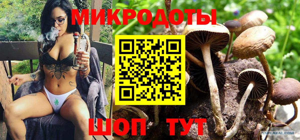 Звенигород  Галлюциногенные грибы ЛСД  Псилоцибиновые грибы мухоморы  Вход с VPN 